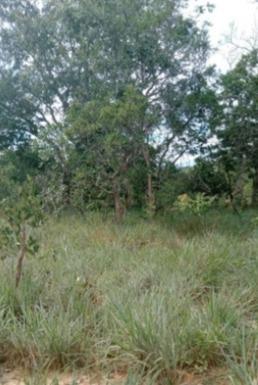 Fazenda, Zona Rural, 3 Quartos, 0 Vaga