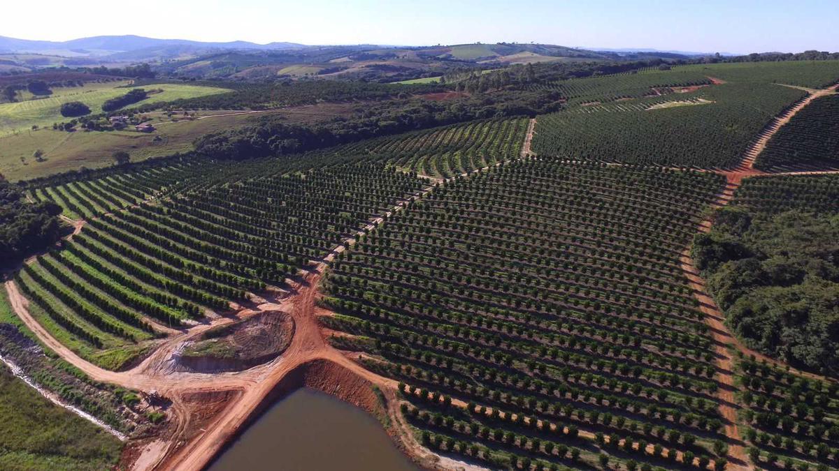 Fazenda, Zona Rural, 3 Quartos, 0 Vaga