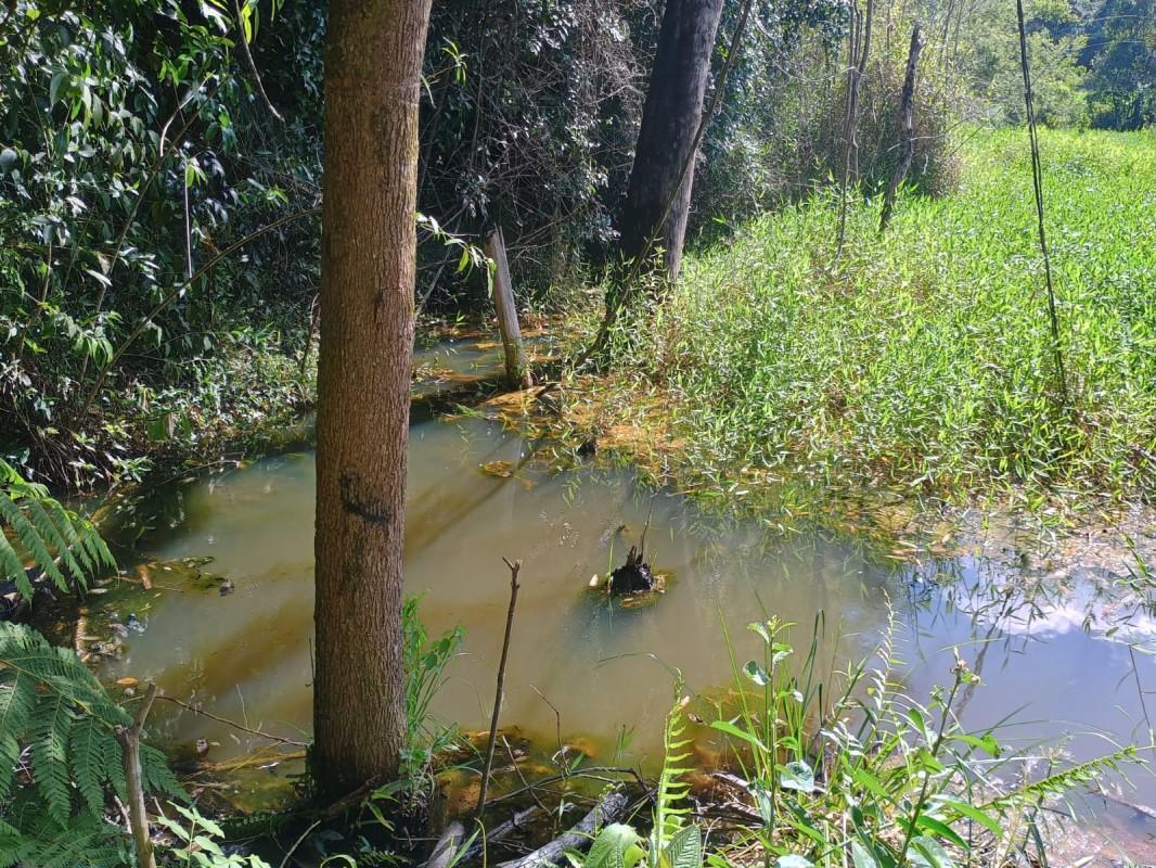 Fazenda, Centro, 0 Quarto, 0 Vaga