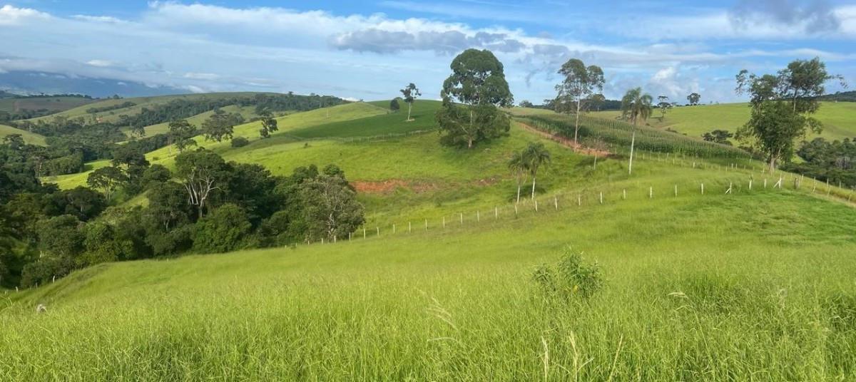 Fazenda, Zona Rural, 0 Quarto, 0 Vaga
