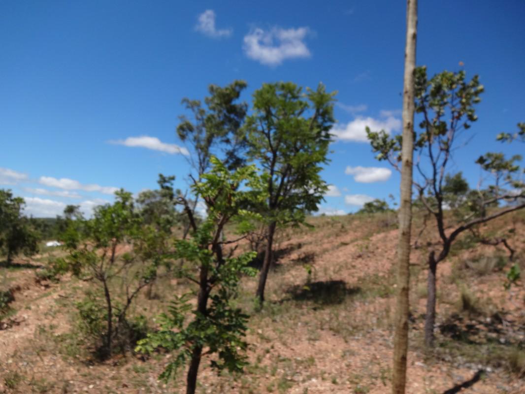 Fazenda, Zona Rural, 1 Quarto, 0 Vaga, 1 Suíte
