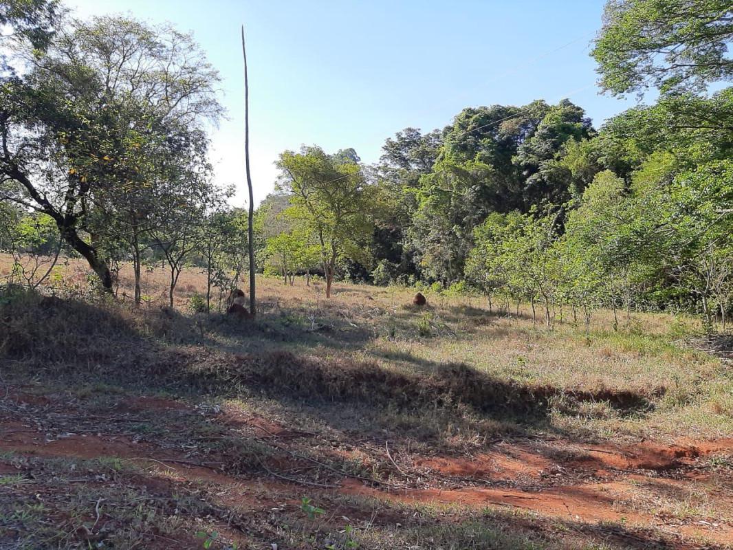 Lote, Centro, 0 Quarto, 0 Vaga