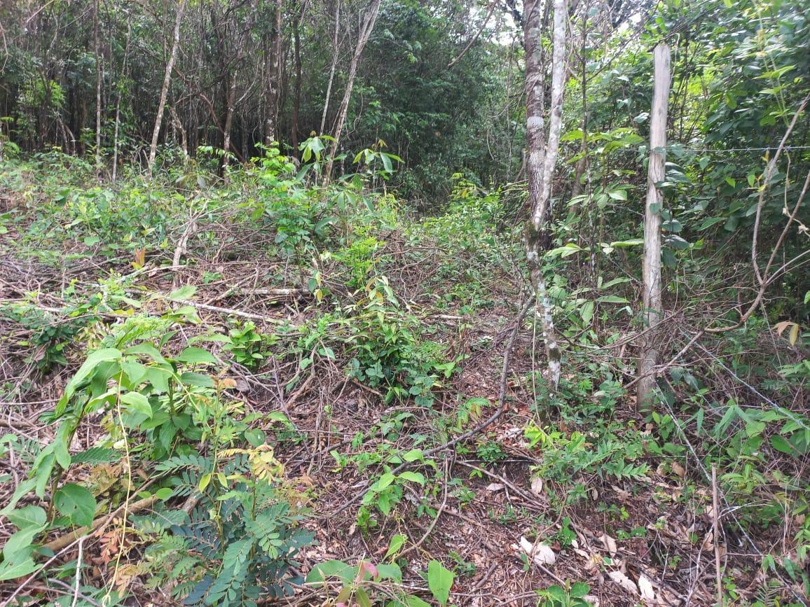 Lote, Gentileza, 0 Quarto, 0 Vaga