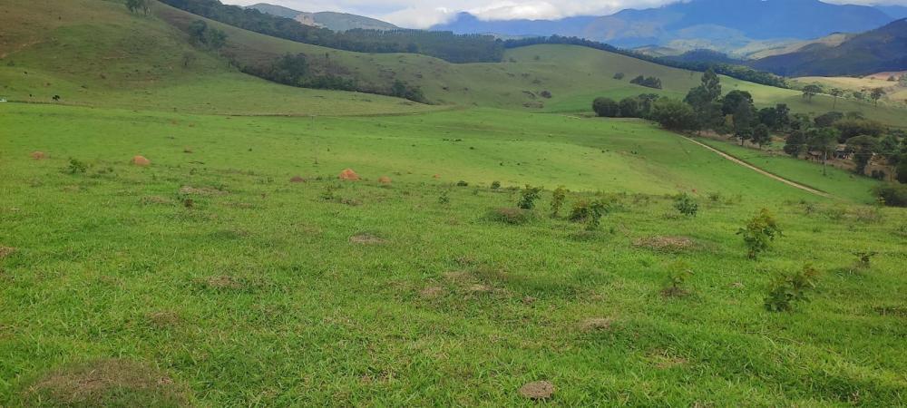 Fazenda, Centro, 3 Quartos, 1 Vaga