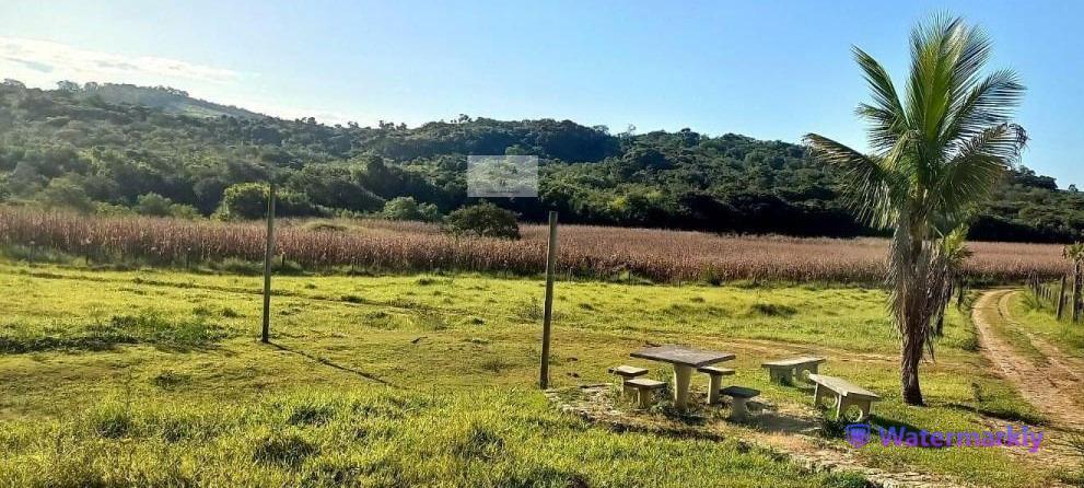 Fazenda, Centro, 5 Quartos, 2 Vagas