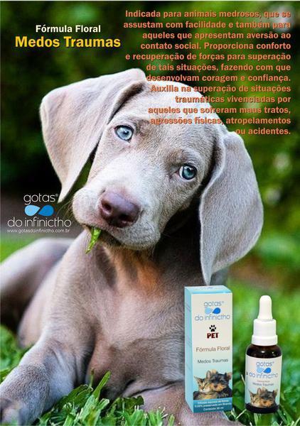 Florais No Tratamento de Animais