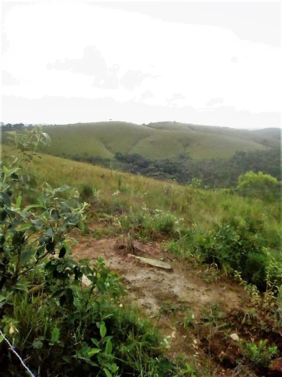 Fazenda, Centro, 2 Quartos, 1 Vaga