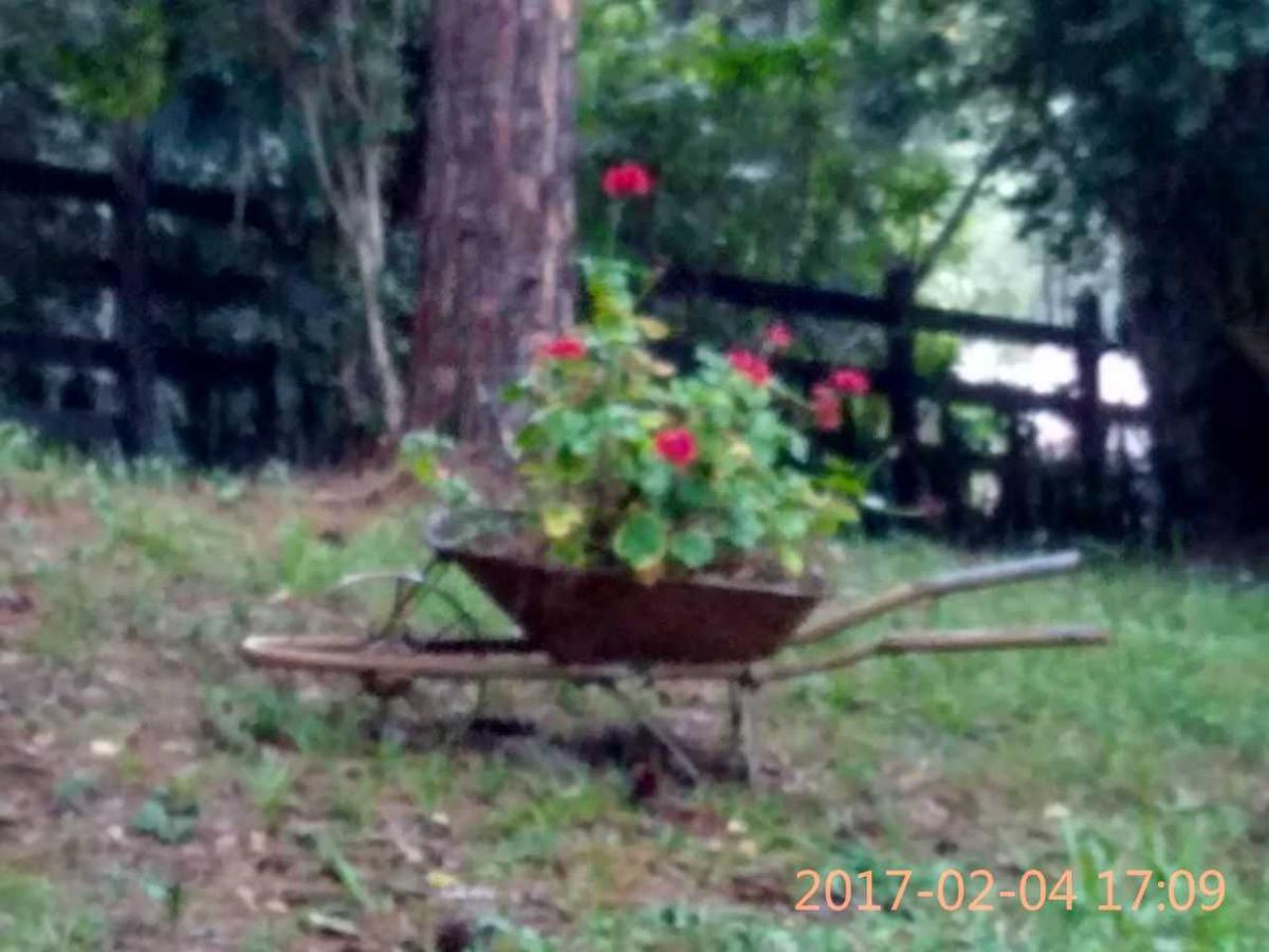 Fazenda, Pinheiros, 4 Quartos, 0 Vaga