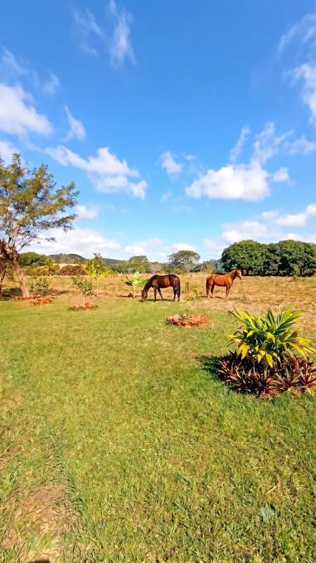 Fazenda, Caracois de Baixo, 4 Quartos, 10 Vagas