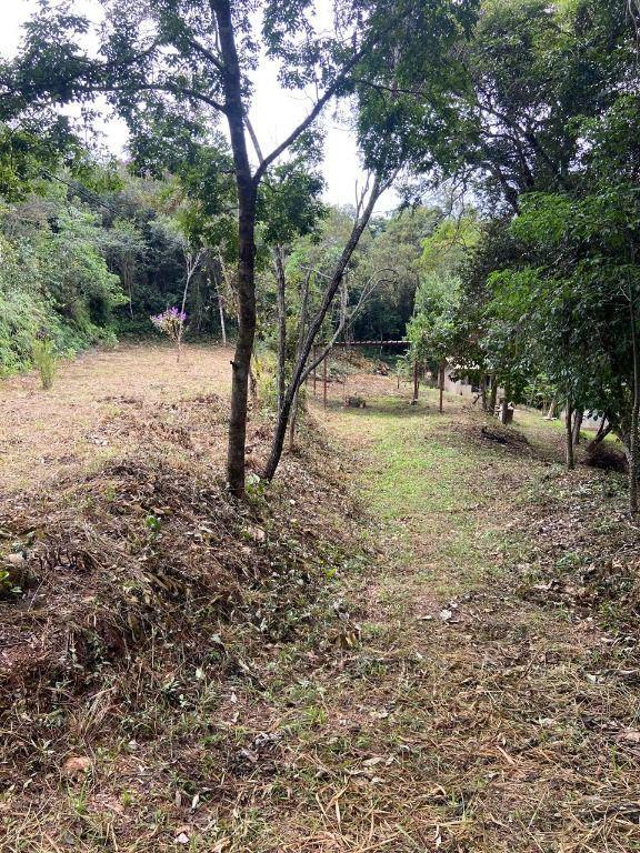 Fazenda, Arraial Velho, 0 Quarto, 0 Vaga