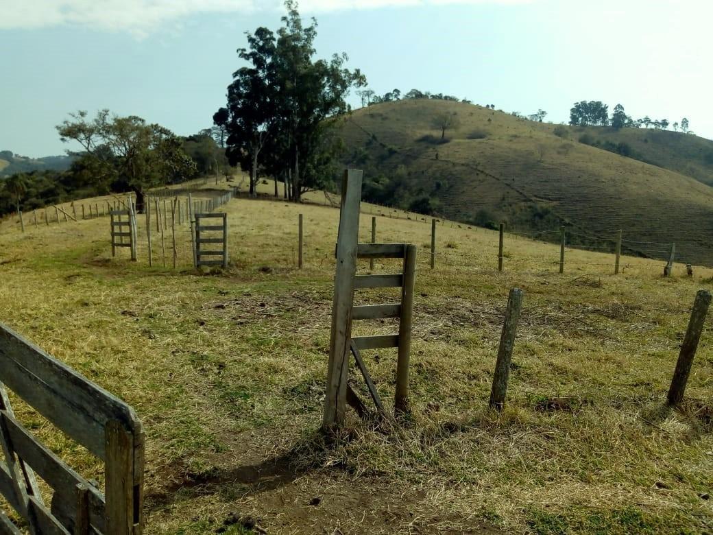 Fazenda, Centro, 1 Quarto, 1 Vaga, 1 Suíte