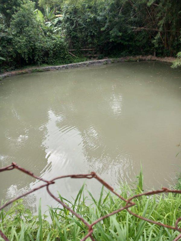 Fazenda, Jardim Rosario, 4 Quartos, 20 Vagas, 1 Suíte