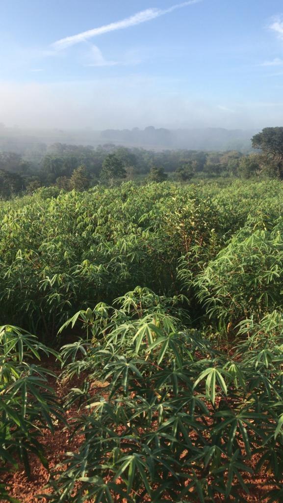 Fazenda, Área Rural de Pará de Minas, 3 Quartos, 0 Vaga, 1 Suíte