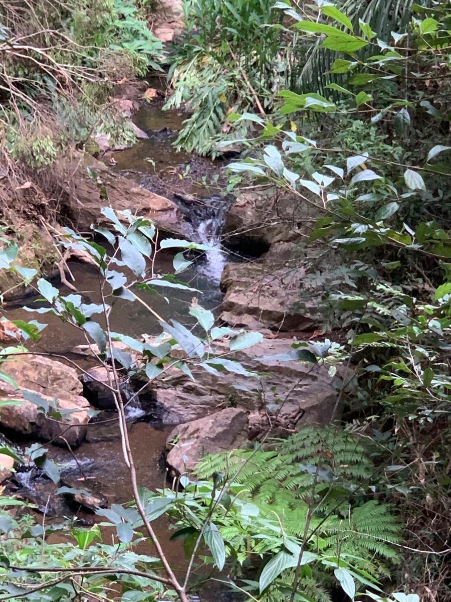 Fazenda, Ravena, 4 Quartos, 10 Vagas, 1 Suíte