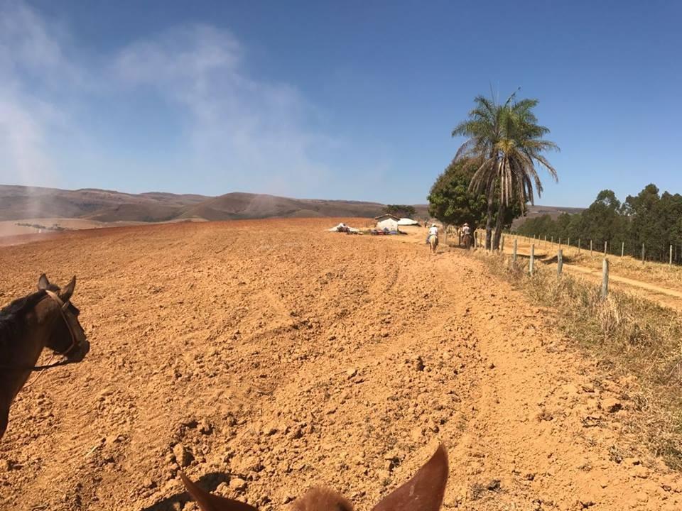 Fazenda, Centro, 1 Quarto, 1 Vaga, 1 Suíte