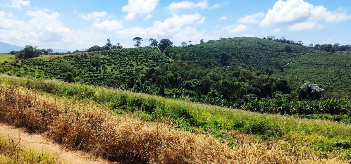 Fazenda, Zona Rural, 0 Quarto, 0 Vaga