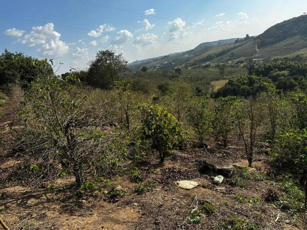 Fazenda, Centro, 0 Quarto, 0 Vaga