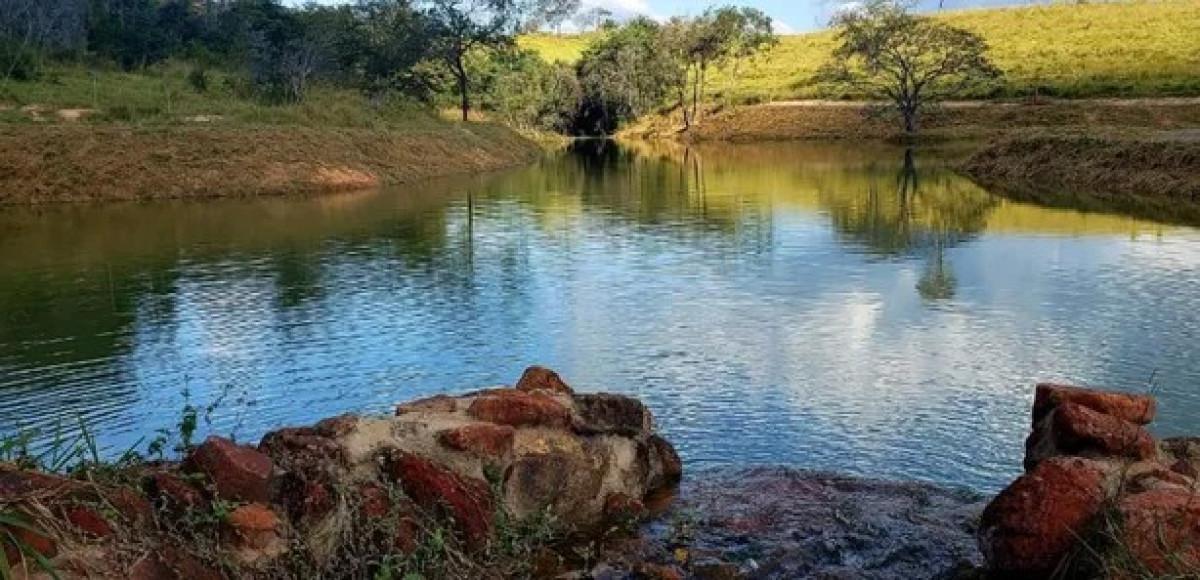 Lote, Jardim Universitário, 0 Quarto, 0 Vaga
