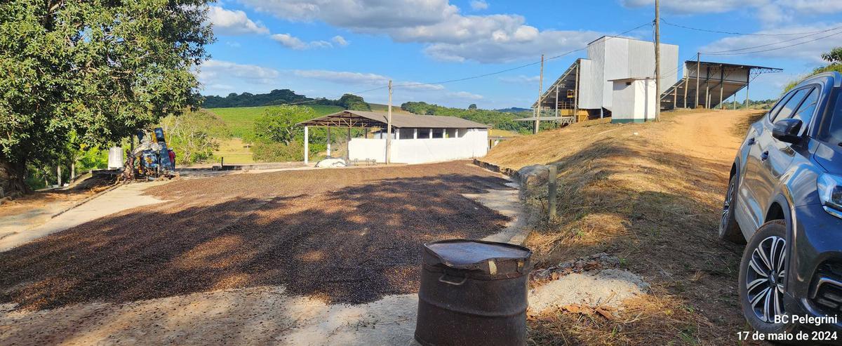 Fazenda, Zona Rural, 9 Quartos, 0 Vaga, 5 Suítes