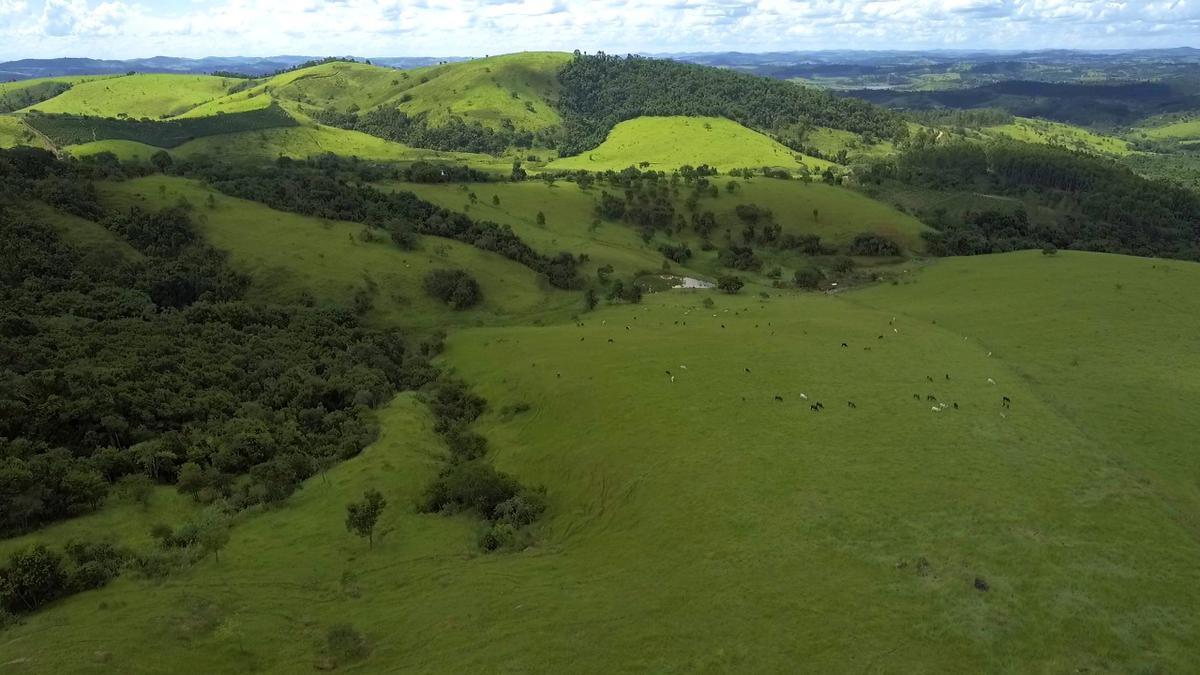 Fazenda, Centro, 1 Quarto, 1 Vaga