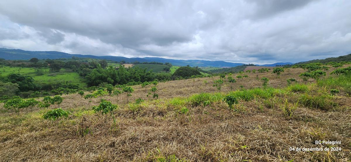 Fazenda, Centro, 2 Quartos, 1 Vaga, 1 Suíte