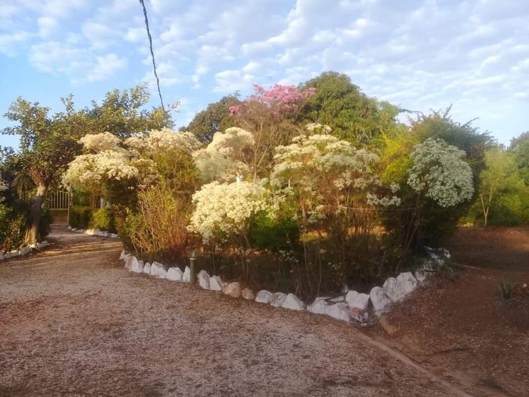 Fazenda, Campo Alegre, 6 Quartos, 0 Vaga