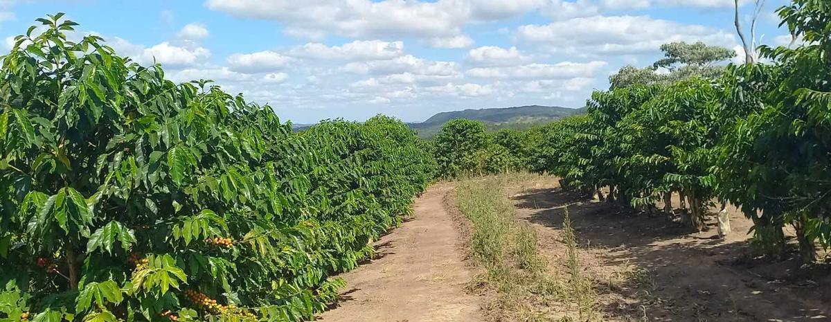 Fazenda, Zona Rural, 4 Quartos, 0 Vaga