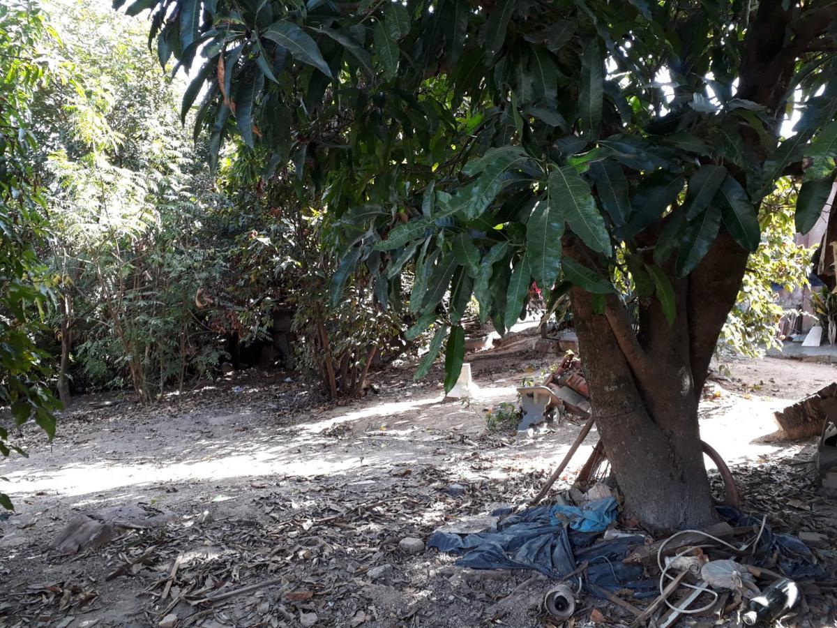 Lote, Vale das Acácias, 0 Quarto, 0 Vaga