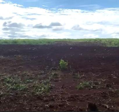 Fazenda, Zona Rural, 0 Quarto, 0 Vaga