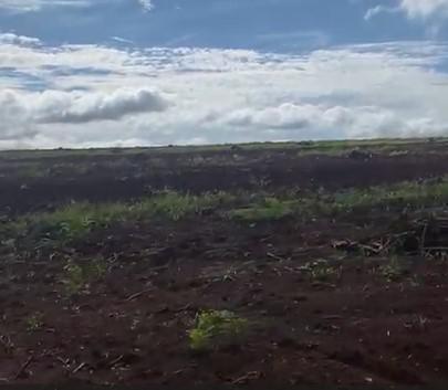 Fazenda, Zona Rural, 0 Quarto, 0 Vaga