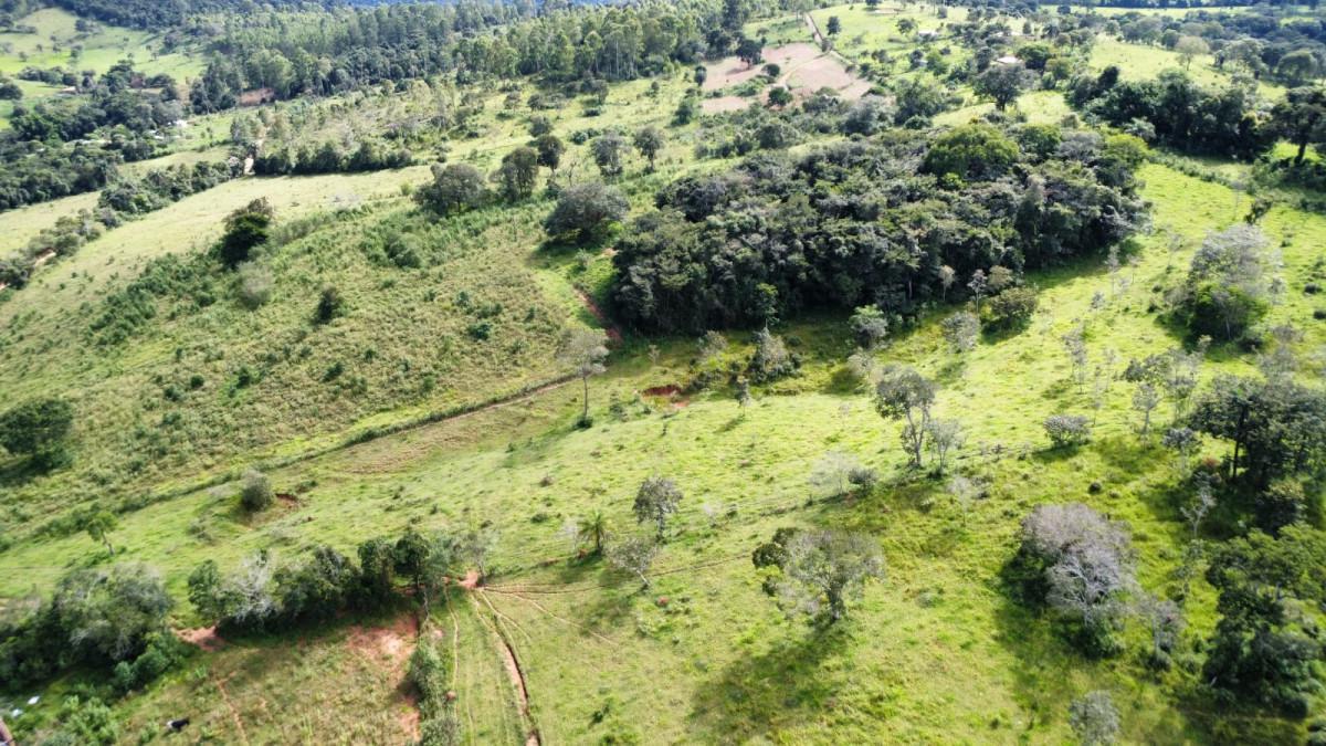 Fazenda, Centro, 0 Quarto, 0 Vaga