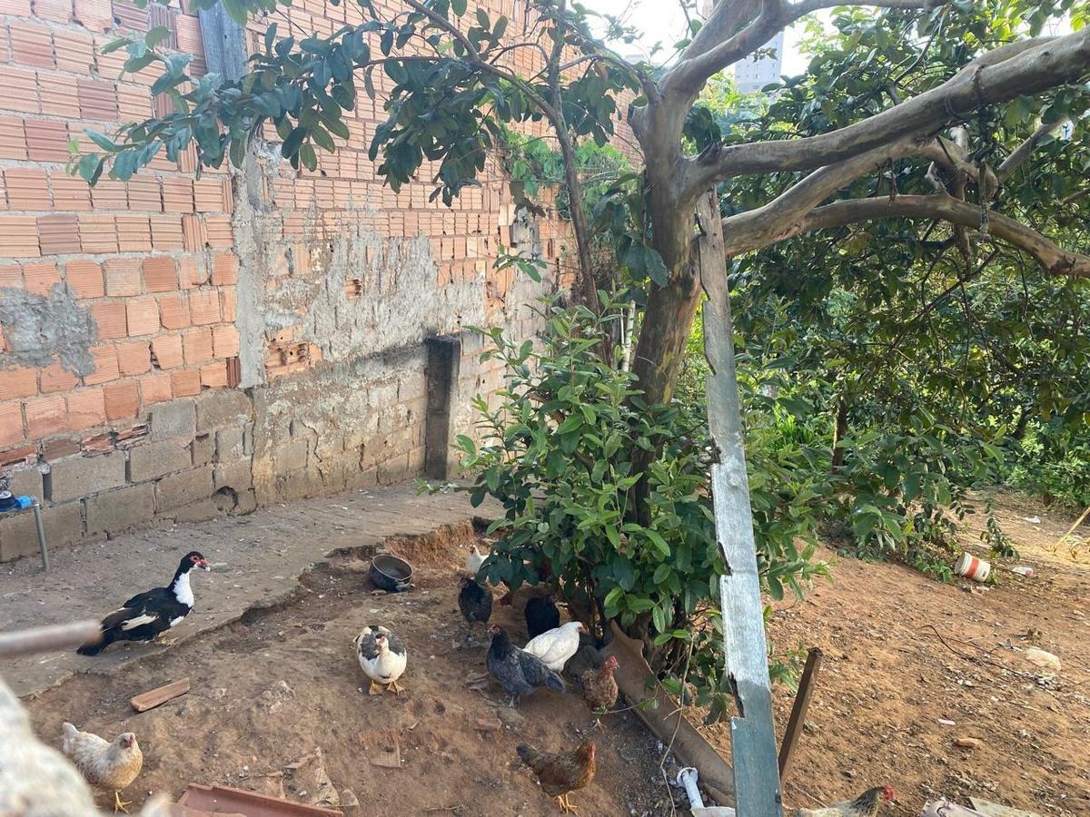 Lote, Três Bicas, 0 Quarto, 0 Vaga