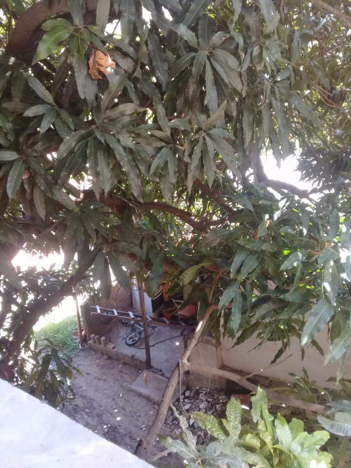 Casa, Nossa Senhora de Fátima, 2 Quartos, 4 Vagas, 1 Suíte