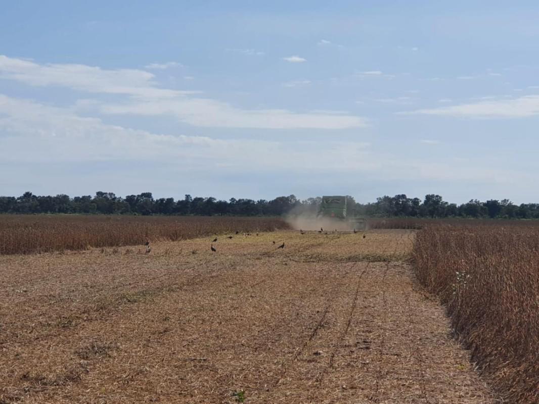 Fazenda, Centro, 0 Quarto, 0 Vaga