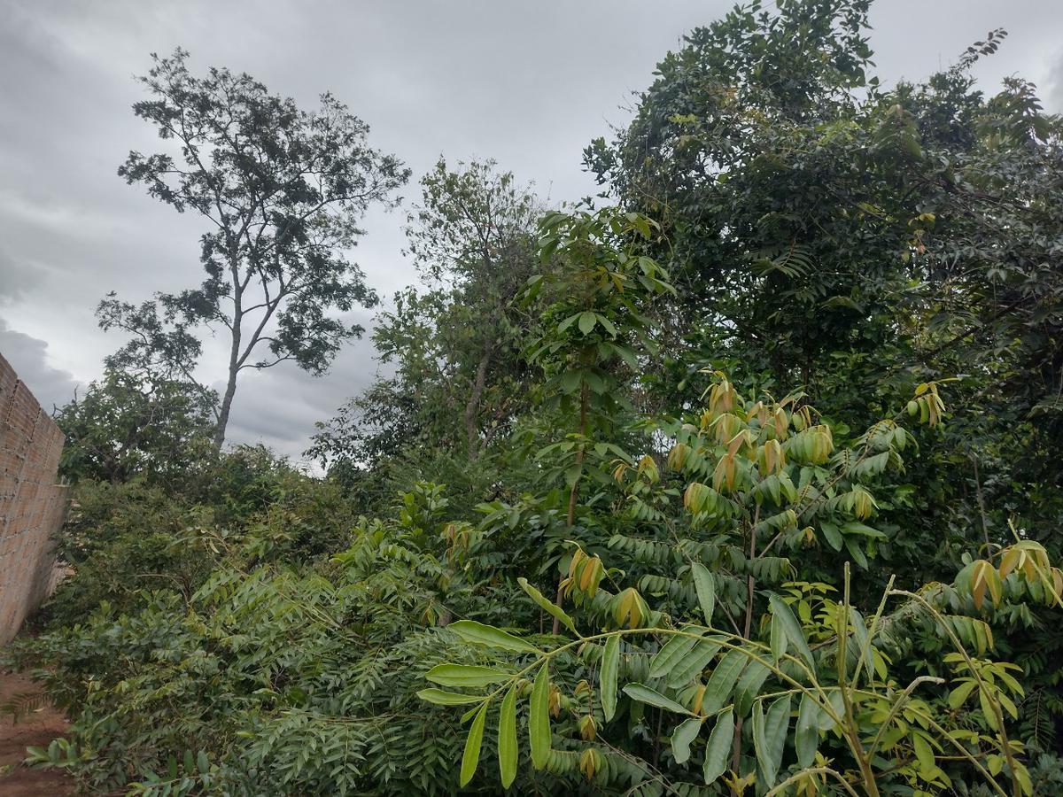 Lote, Tupã, 0 Quarto, 0 Vaga