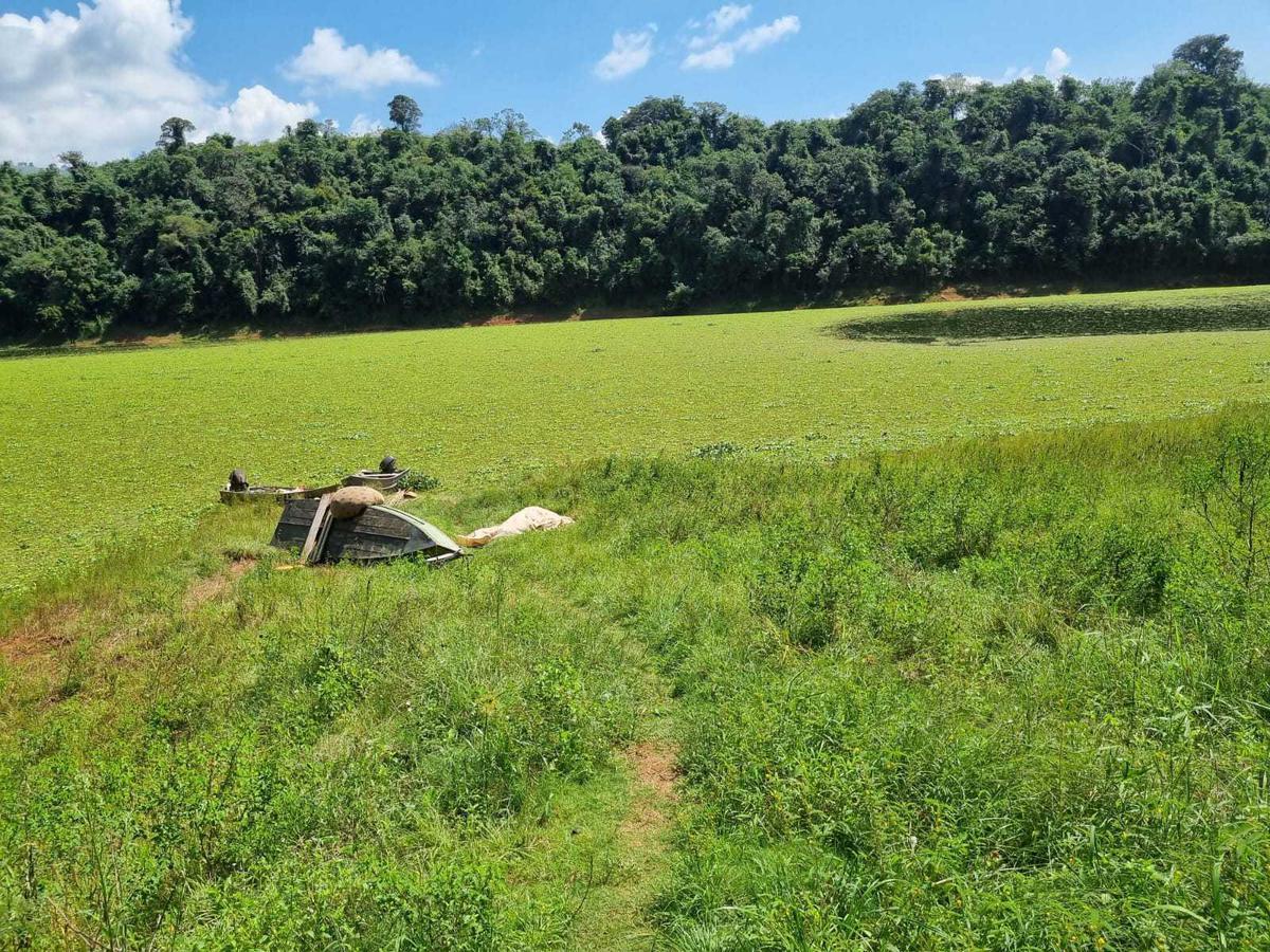 Fazenda, Zona Rural, 3 Quartos, 0 Vaga