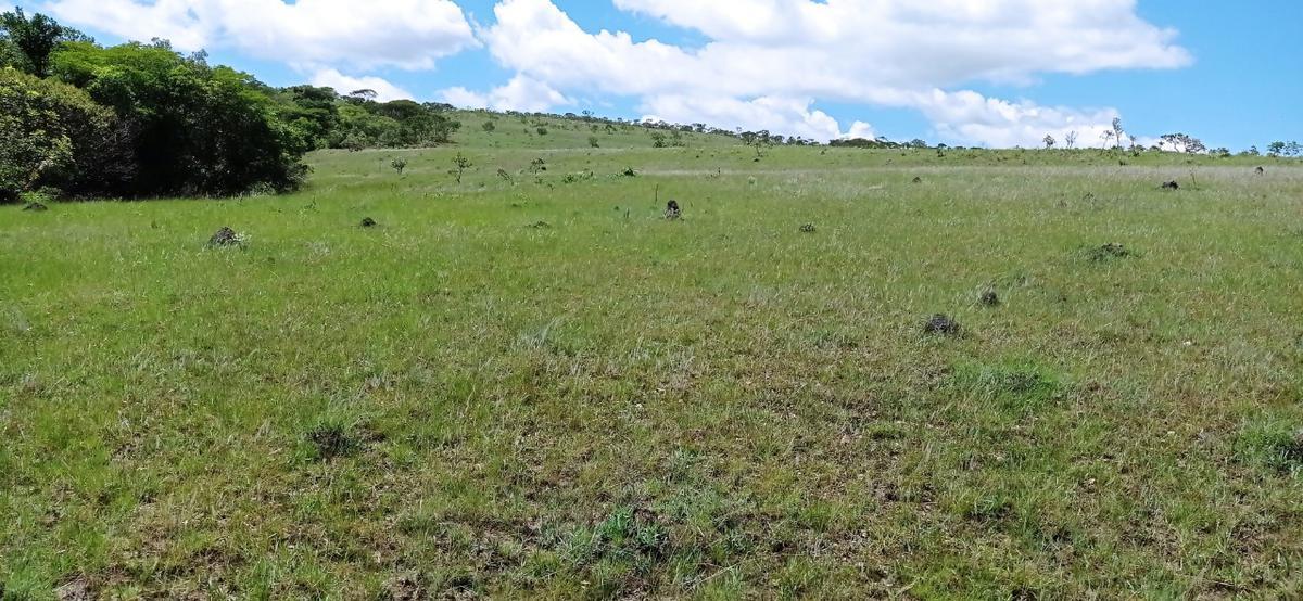 Fazenda, Zona Rural, 0 Quarto, 0 Vaga