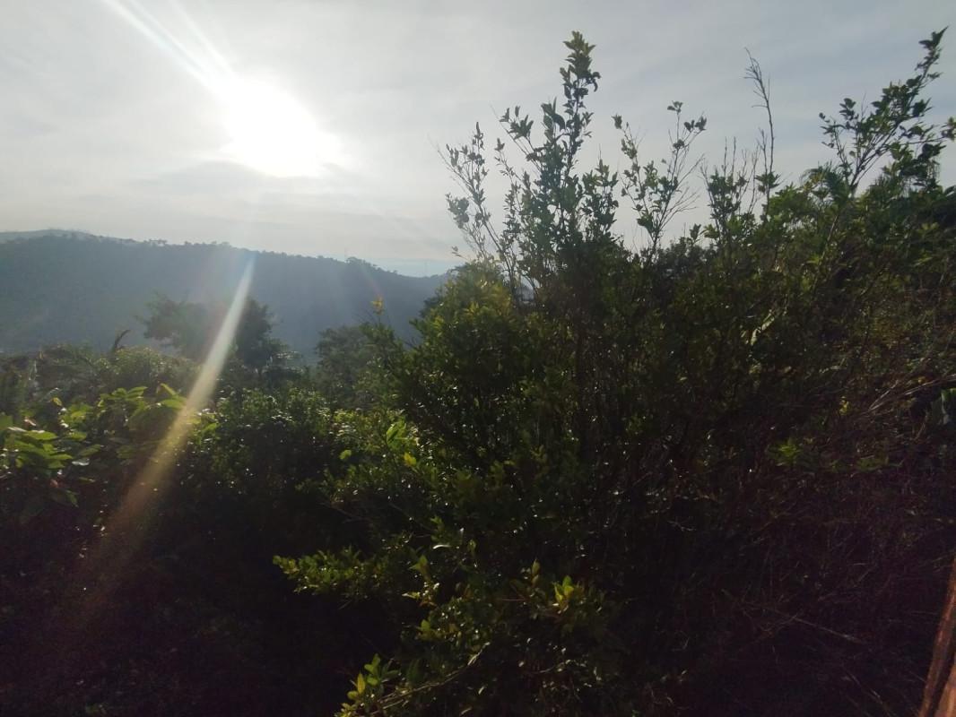 Casa, Belo Vale, 3 Quartos, 3 Vagas, 1 Suíte