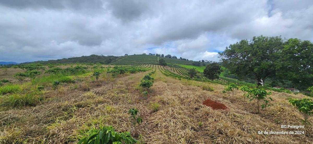 Fazenda, Centro, 2 Quartos, 1 Vaga, 1 Suíte