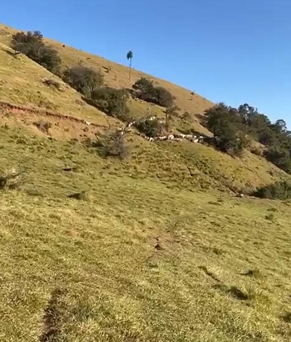 Fazenda, Zona Rural, 4 Quartos, 0 Vaga