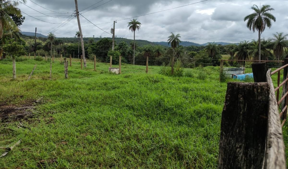Fazenda, Zona Rural, 5 Quartos, 0 Vaga