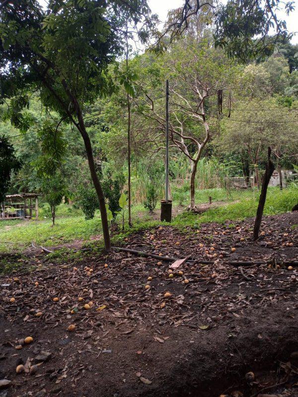 Fazenda, Jardim Rosario, 4 Quartos, 20 Vagas, 1 Suíte