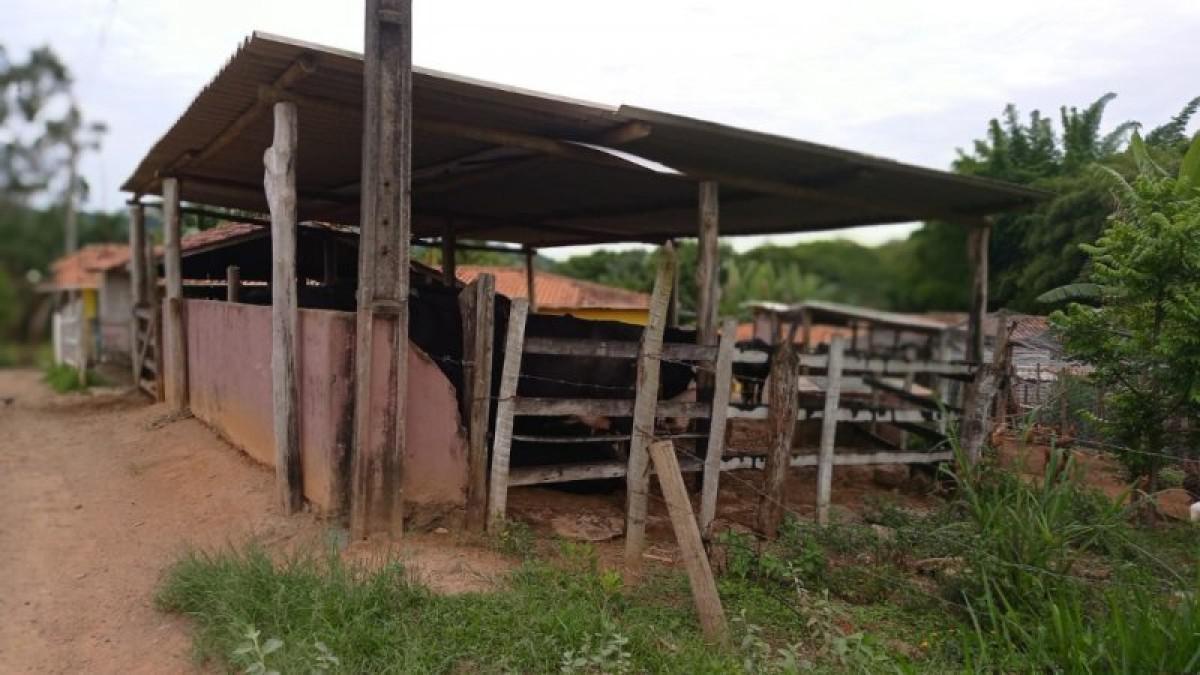 Fazenda, Centro, 6 Quartos, 3 Vagas