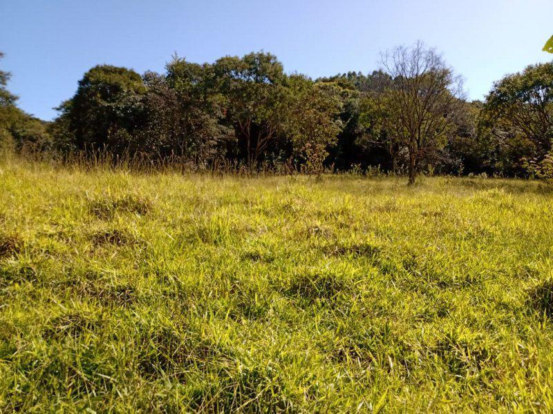 Lote, Centro, 0 Quarto, 0 Vaga