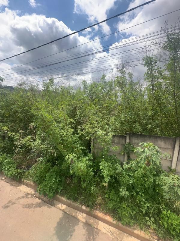 Lote, Imperatriz, 0 Quarto, 0 Vaga