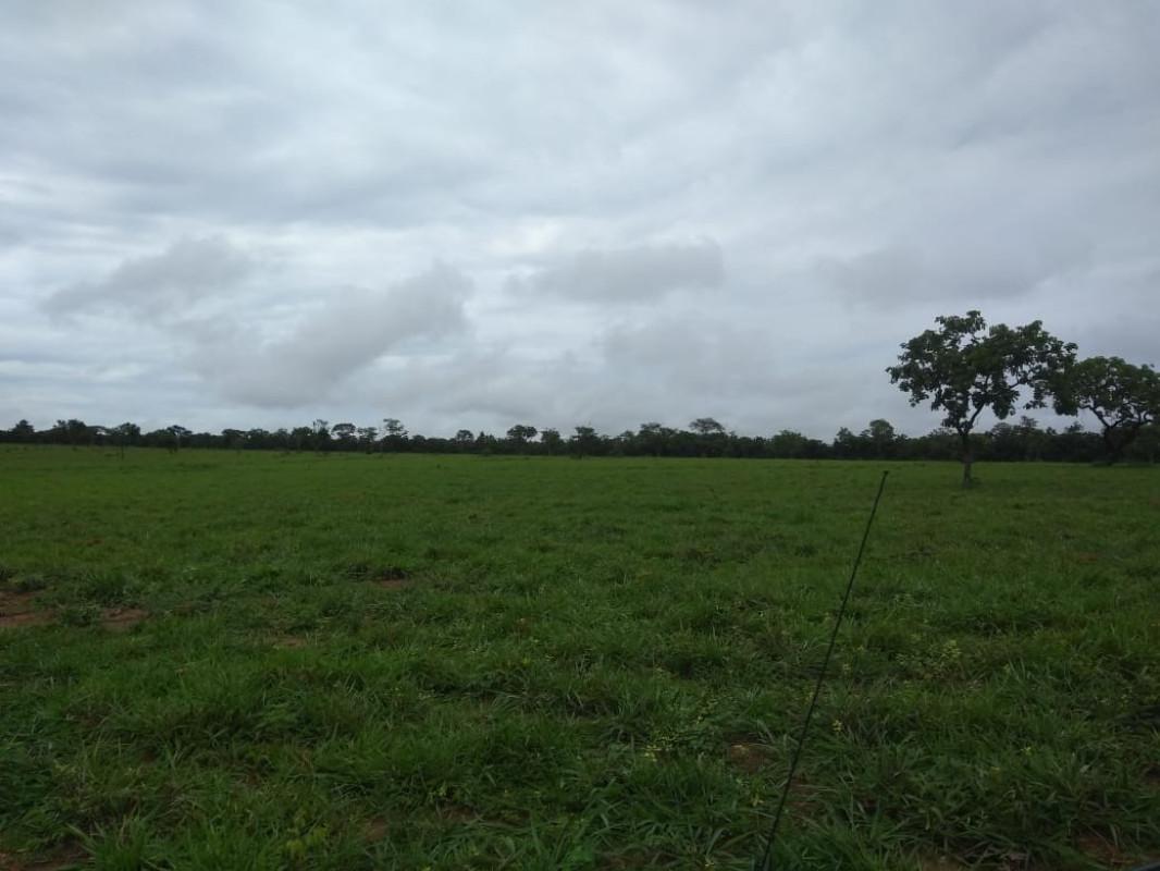 Fazenda, Zona Rural, 0 Quarto, 0 Vaga, 5 Suítes