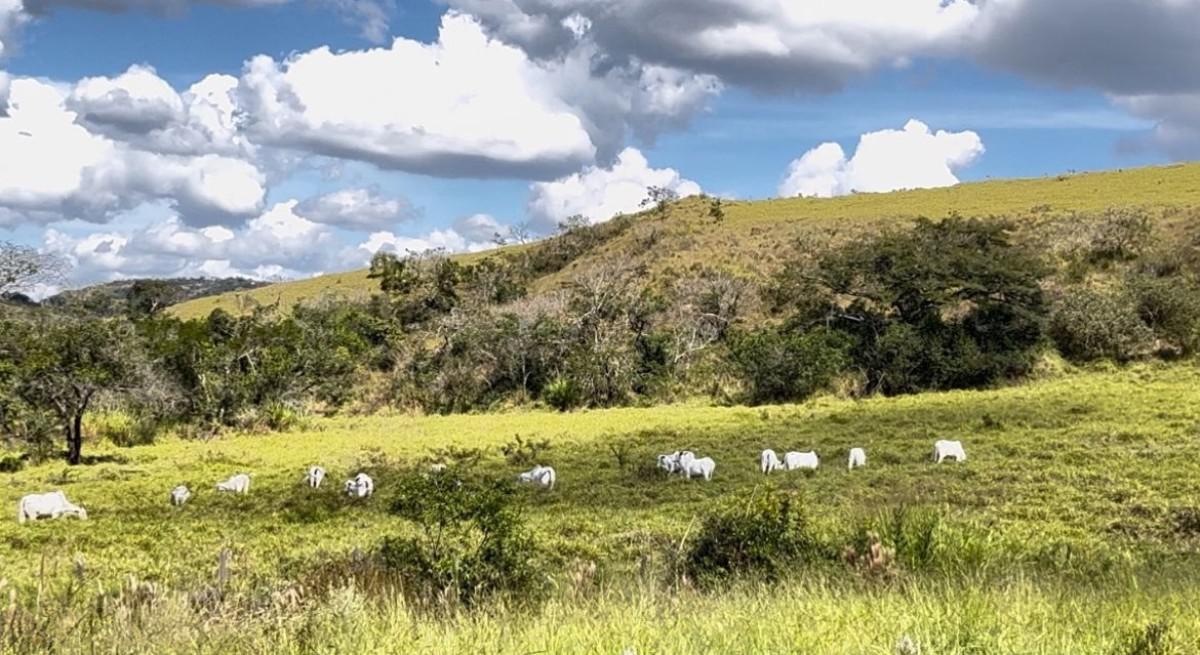 Fazenda, Zona Rural, 0 Quarto, 0 Vaga