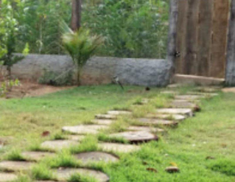 Fazenda, Centro, 0 Quarto, 0 Vaga