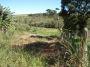 Lote, Zona Rural, 0 Quarto, 0 Vaga