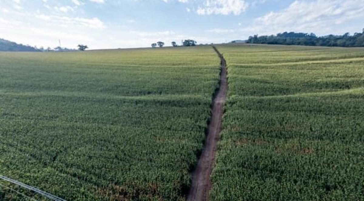 Fazenda, Zona Rural, 0 Quarto, 0 Vaga